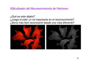 Dificultades del Reconocimiento de Patrones 
¿Qué es este objeto? 
¿Juega el color un rol importante en el reconocimiento? 
¿Sería más fácil reconocerlo desde una vista diferente? 
18 
 