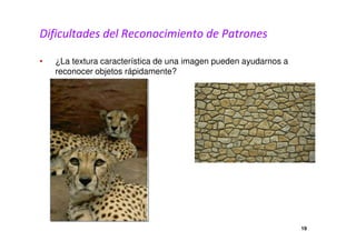 Dificultades del Reconocimiento de Patrones 
• ¿La textura característica de una imagen pueden ayudarnos a 
reconocer objetos rápidamente? 
19 
 