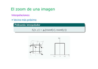 El zoom de una imagen
Interpolaciones:
• Vecino más próximo
 
