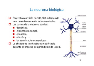 La neurona biológica
El cerebro consiste en 100,000 millones de
neuronas densamente interconectadas.
Las partes de la neurona son las:
dendritas,
el cuerpo (o soma),
el núcleo,
el axón y
las terminaciones nerviosas.
La eficacia de la sinapsis es modificable
durante el proceso de aprendizaje de la red.
12
 