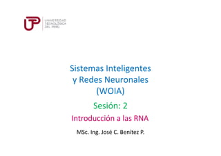 Sistemas Inteligentes
y Redes Neuronales
(WOIA)
MSc. Ing. José C. Benítez P.
Sesión: 2
Introducción a las RNA
 