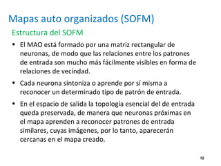 12
Mapas auto organizados (SOFM)
Estructura del SOFM
• El MAO está formado por una matriz rectangular de
neuronas, de modo que las relaciones entre los patrones
de entrada son mucho más fácilmente visibles en forma de
relaciones de vecindad.
• Cada neurona sintoniza o aprende por sí misma a
reconocer un determinado tipo de patrón de entrada.
• En el espacio de salida la topología esencial del de entrada
queda preservada, de manera que neuronas próximas en
el mapa aprenden a reconocer patrones de entrada
similares, cuyas imágenes, por lo tanto, aparecerán
cercanas en el mapa creado.
 