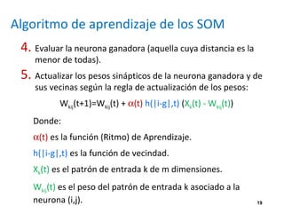 19
Algoritmo de aprendizaje de los SOM
4. Evaluar la neurona ganadora (aquella cuya distancia es la
menor de todas).
5. Actualizar los pesos sinápticos de la neurona ganadora y de
sus vecinas según la regla de actualización de los pesos:
Wkij(t+1)=Wkij(t) + α(t) h(|i-g|,t) (Xk(t) - Wkij(t))
Donde:
α(t) es la función (Ritmo) de Aprendizaje.
h(|i-g|,t) es la función de vecindad.
Xk(t) es el patrón de entrada k de m dimensiones.
Wkij(t) es el peso del patrón de entrada k asociado a la
neurona (i,j).
 