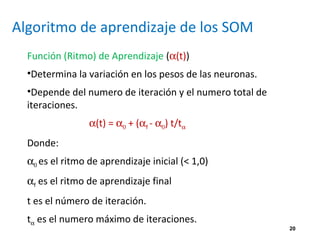 20
Algoritmo de aprendizaje de los SOM
Función (Ritmo) de Aprendizaje (α(t))
•Determina la variación en los pesos de las neuronas.
•Depende del numero de iteración y el numero total de
iteraciones.
α(t) = α0 + (αf - α0) t/tα
Donde:
α0 es el ritmo de aprendizaje inicial (< 1,0)
αf es el ritmo de aprendizaje final
t es el número de iteración.
tα es el numero máximo de iteraciones.
 