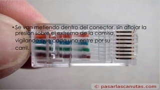 • Se van metiendo dentro del conector, sin aflojar la 
presión sobre el extremo de la camisa, 
vigilando que cada uno entre por su 
carril. 
 