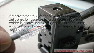 • Inmediatamente sujetando el cable muy cerca 
del conector, apretando la camisa gris sobre los 
cables interiores, para que no se desplacen, meto 
el conector en la herramienta de crimpar, hasta 
llegar a tope. 
 
