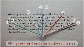 • Ahora preparo los cables por el lado de la 
conexión cruzada: 1-blanco pareja de verde, 2- 
verde, 3-blanco pareja de naranja, 4-azul, 5- 
blanco pareja de azul, 6-naranja, 7-blanco pareja 
de marrón, 8-marrón. Se cortan alineados, 
sujetando el extremo, también con una longitud 
de 14-15 mm 
 
