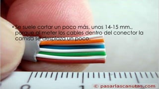 • Se suele cortar un poco más, unos 14-15 mm., 
porque al meter los cables dentro del conector la 
camisa se desplaza un poco. 
 