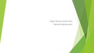 Holger Marcelo Jumbo Vélez
Ingeniería Agropecuaria
 