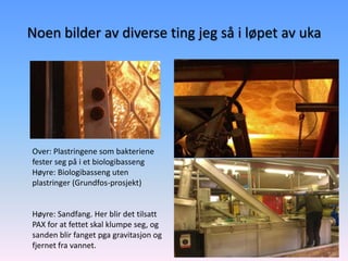 Noen bilder av diverse ting jeg så i løpet av uka




Over: Plastringene som bakteriene
fester seg på i et biologibasseng
Høyre: Biologibasseng uten
plastringer (Grundfos-prosjekt)


Høyre: Sandfang. Her blir det tilsatt
PAX for at fettet skal klumpe seg, og
sanden blir fanget pga gravitasjon og
fjernet fra vannet.
 