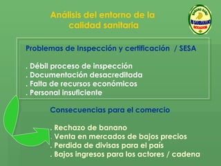 Análisis del entorno de la  calidad sanitaria Problemas de Inspección y certificación  / SESA . Débil proceso de inspección . Documentación desacreditada . Falta de recursos económicos  . Personal insuficiente Consecuencias para el comercio  . Rechazo de banano . Venta en mercados de bajos precios . Perdida de divisas para el país  . Bajos ingresos para los actores / cadena   