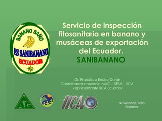 Servicio de inspección fitosanitaria en banano y musáceas de exportación del Ecuador.  SANIBANANO  Noviembre, 2003 Ecuador Dr. Francisco Enciso Durán Coordinador convenio MAG – SESA – IICA  Representante IICA Ecuador 
