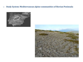 Objetivos Capítulos Conclusiones
o Study System: Mediterranean alpine communities of Iberian Peninsula
Silene
ciliata
Arme...
