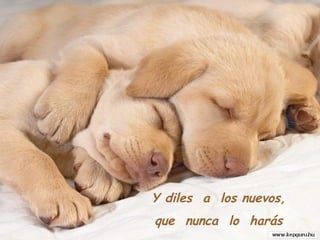 Y diles a los nuevos,
que nunca lo harás
 