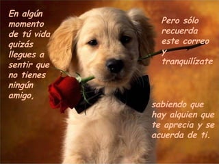 En algún
momento        Pero sólo
de tú vida     recuerda
quizás         este correo
llegues a      y
sentir que     tranquilízate
no tienes
ningún
amigo,
             sabiendo que
             hay alquien que
             te aprecia y se
             acuerda de ti.
 