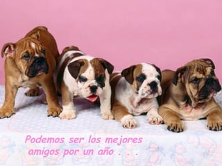 Podemos ser los mejores
 amigos por un año . . .
 