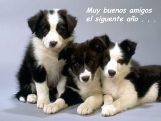 Muy buenos amigos
el siguente año . . .
 