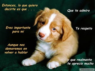 Entonces, lo que quiero
 decirte es que . . .     Que te admiro




  Eres importante             Te respeto
      para mi



   Aunque nos
  demoremos en
 volver a hablar

                          y que realmente
                          te aprecio mucho
 