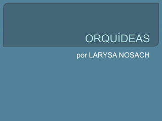 ORQUÍDEAS por LARYSA NOSACH 