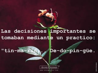 Las decisiones importantes se
tomaban mediante un practico:

"tin-ma-rin... De-do-pin-güe.
 