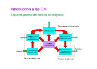 Introducción a las OM
Esquema general del análisis de imágenes
 