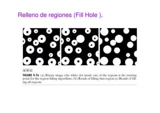 Relleno de regiones (Fill Hole ).
 