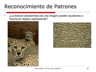 Reconocimiento de Patrones
•   ¿La textura característica de una imagen pueden ayudarnos a
    reconocer objetos rápidamente?




                        Vision Artificial - Prof. Ing. Jose C. Benitez P.   22
 