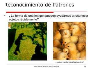 Reconocimiento de Patrones

•   ¿La forma de una imagen pueden ayudarnos a reconocer
    objetos rápidamente?




                                                             ¿cuál es macho y cuál es hembra?

                    Vision Artificial - Prof. Ing. Jose C. Benitez P.                           23
 