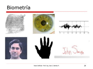 Biometría




            Vision Artificial - Prof. Ing. Jose C. Benitez P.   28
 