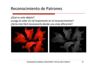 Reconocimiento de Patrones
¿Qué es este objeto?
¿Juega el color un rol importante en el reconocimiento?
¿Sería más fácil reconocerlo desde una vista diferente?




             Procesamiento de Imágenes y Visión Artificial - Prof. Ing. José C. Benítez P.   21
 