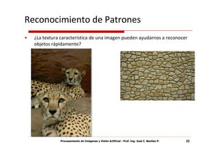Reconocimiento de Patrones
•   ¿La textura característica de una imagen pueden ayudarnos a reconocer
    objetos rápidamente?




               Procesamiento de Imágenes y Visión Artificial - Prof. Ing. José C. Benítez P.   22
 