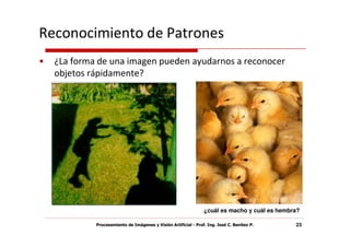 Reconocimiento de Patrones
•   ¿La forma de una imagen pueden ayudarnos a reconocer
    objetos rápidamente?




                                                                 ¿cuál es macho y cuál es hembra?

             Procesamiento de Imágenes y Visión Artificial - Prof. Ing. José C. Benítez P.     23
 