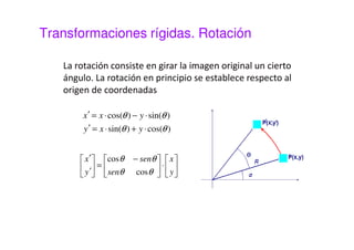 Transformaciones rígidas. Traslación 
La traslación es una transformación que desplaza una 
cierta magnitud vectorial cada uno de los píxeles de la 
imagen de entrada. 
x 
y 
¢ = + 
x x t 
¢ = + 
y y t 
 
 
 
x 
t 
 
+   
 
 
 
 
 
1 0 
 
 
=  
 
 
¢ 
¢ 
y 
t 
x 
y 
x 
y 
. 
0 1 
 
