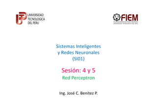 Sistemas Inteligentes
 y Redes Neuronales
       (SI01)

  Sesión: 4 y 5
  Red Perceptron

 Ing. José C. Benítez P.
 