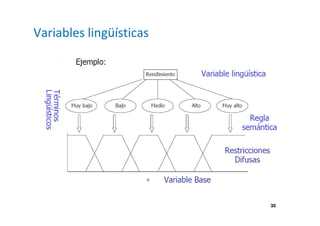 30 
Variables lingüísticas 
 