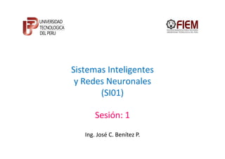 Sistemas Inteligentes
y Redes Neuronales
(SI01)
Sesión: 1
Ing. José C. Benítez P.
 