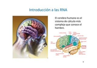 Introducción a las RNA 
El cerebro humano es el 
sistema de cálculo más 
complejo que conoce el 
hombre. 
3 
 