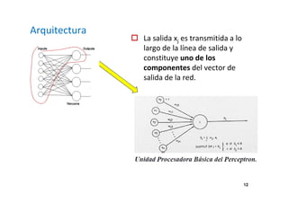 12 
Arquitectura 
 La salida xj es transmitida a lo 
largo de la línea de salida y 
constituye uno de los 
componentes del vector de 
salida de la red. 
 