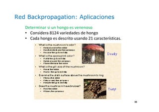 35
Red Backpropagation: Aplicaciones
Determinar si un hongo es venenoso
• Considera 8124 variedades de hongo
• Cada hongo es descrito usando 21 características.
 
