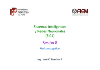 Sistemas Inteligentes
 y Redes Neuronales
       (SI01)
      Sesión 8
    Backpropagation


  Ing. José C. Benítez P.
 