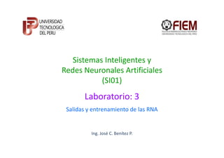 Sistemas Inteligentes y
Redes Neuronales Artificiales
           (SI01)
       Laboratorio: 3
 Salidas y entrenamiento de las RNA


          Ing. José C. Benítez P.
 