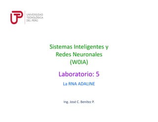Ing. José C. Benítez P.
La RNA ADALINE
Laboratorio: 5
Sistemas Inteligentes y
Redes Neuronales
(W0IA)
 