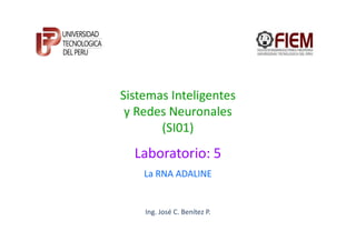 Sistemas Inteligentes
 y Redes Neuronales
       (SI01)
  Laboratorio: 5
    La RNA ADALINE


    Ing. José C. Benítez P.
 
