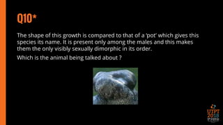 Q10*
The shape of this growth is compared to that of a ‘pot’ which gives this
species its name. It is present only among the males and this makes
them the only visibly sexually dimorphic in its order.
Which is the animal being talked about ?
 