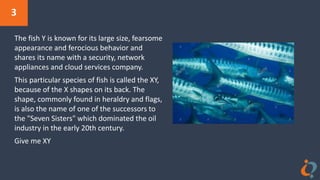 3
The fish Y is known for its large size, fearsome
appearance and ferocious behavior and
shares its name with a security, network
appliances and cloud services company.
This particular species of fish is called the XY,
because of the X shapes on its back. The
shape, commonly found in heraldry and flags,
is also the name of one of the successors to
the "Seven Sisters" which dominated the oil
industry in the early 20th century.
Give me XY
 