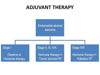 ADJUVANT THERAPY
 