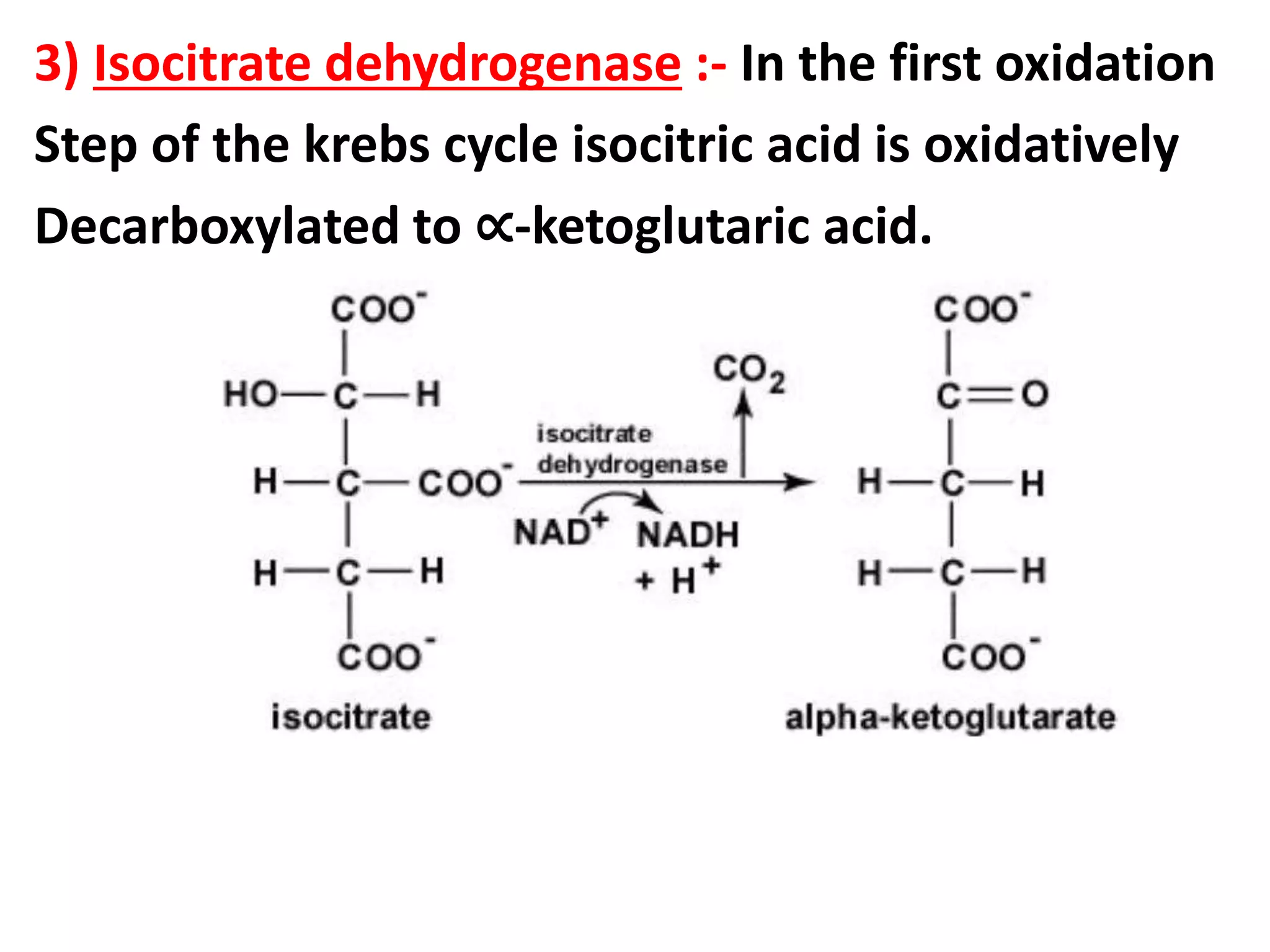 3) Isocitrate dehydrogenase :- In the first oxidation
Step of the krebs cycle isocitric acid is oxidatively
Decarboxylated to ∝-ketoglutaric acid.
 