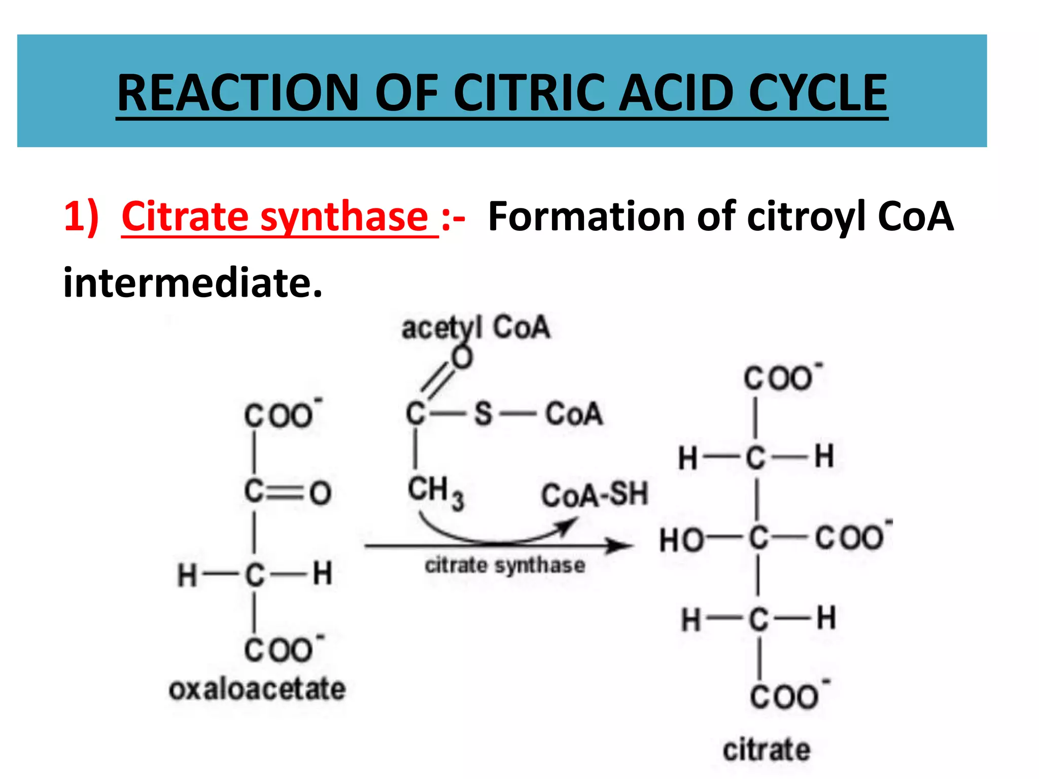 REACTION OF CITRIC ACID CYCLE
1) Citrate synthase :- Formation of citroyl CoA
intermediate.
 