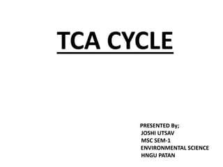 TCA CYCLE
PRESENTED By;
JOSHI UTSAV
MSC SEM-1
ENVIRONMENTAL SCIENCE
HNGU PATAN
 