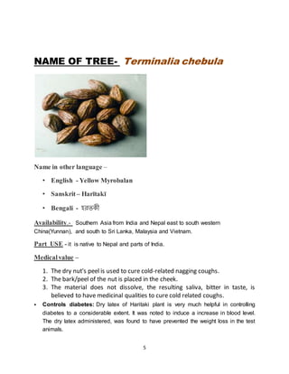 5
NAME OF TREE- Terminalia chebula
Name in other language –
• English - Yellow Myrobalan
• Sanskrit – Harītakī
• Bengali - হরতকী
Availability.- Southern Asia from India and Nepal east to south western
China(Yunnan), and south to Sri Lanka, Malaysia and Vietnam.
Part USE - it is native to Nepal and parts of India.
Medicalvalue –
1. The dry nut's peel is used to cure cold-related nagging coughs.
2. The bark/peel of the nut is placed in the cheek.
3. The material does not dissolve, the resulting saliva, bitter in taste, is
believed to have medicinal qualities to cure cold related coughs.
 Controls diabetes: Dry latex of Haritaki plant is very much helpful in controlling
diabetes to a considerable extent. It was noted to induce a increase in blood level.
The dry latex administered, was found to have prevented the weight loss in the test
animals.
 